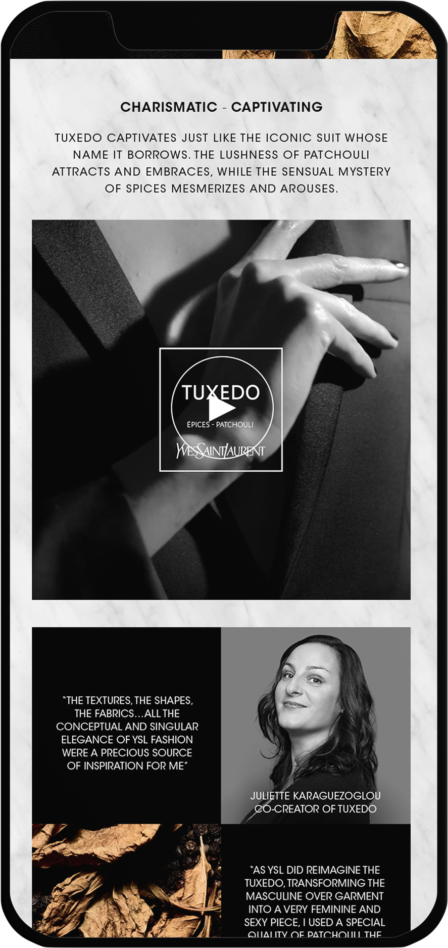 Tuxedo-2